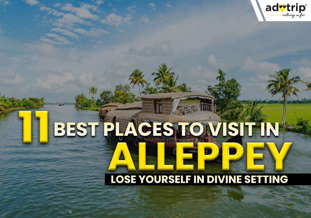 Places To Visit In Alleppey